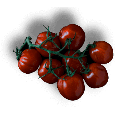 Frische Zutaten